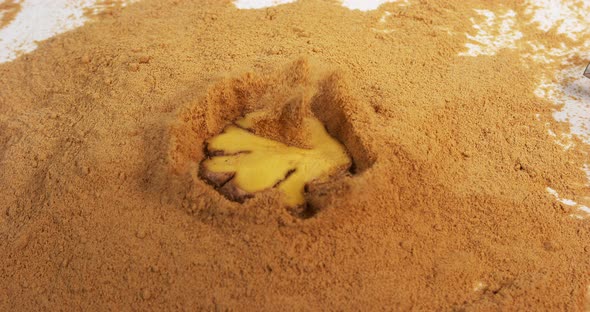 Ginger, Zingiber officinale, Root and Powder against White Background, Slow Motion 4K alt