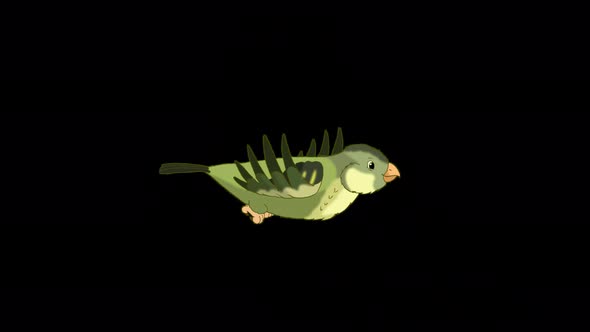 Green forest bird flies alpha matte 4K