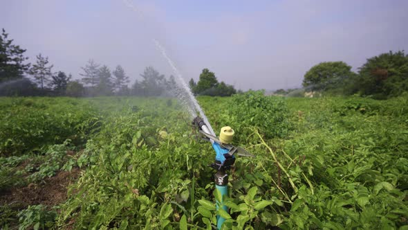 Farmland irrigation detail. Close-up. alt