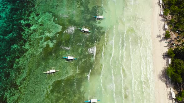 Sandy Beach and Tropical Sea alt