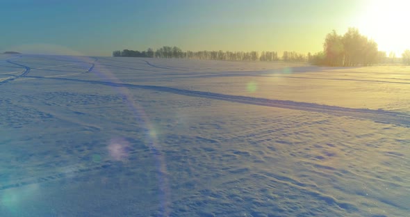 Aerial Drone View of Cold Winter Landscape with Arctic Field, Trees Covered with Frost Snow and alt