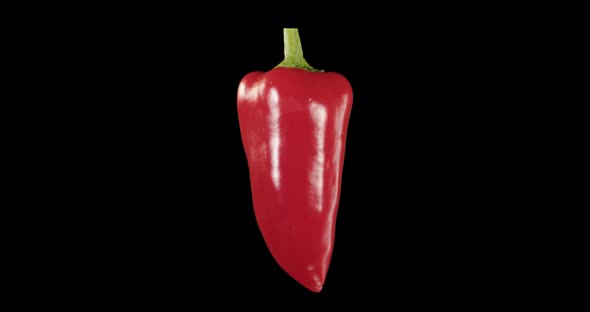 Red Pepper. Alpha Channel. Rotatio