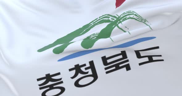 North Chungcheong Flag, South Korea alt
