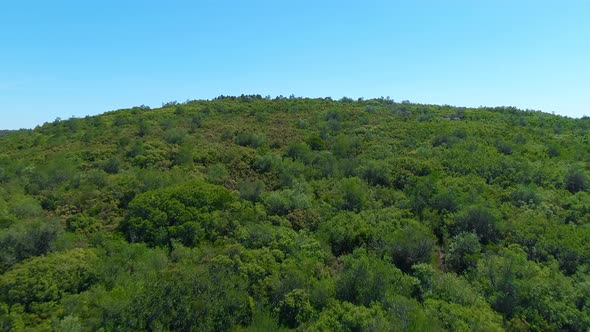 Mountain Green Valley Landscape alt