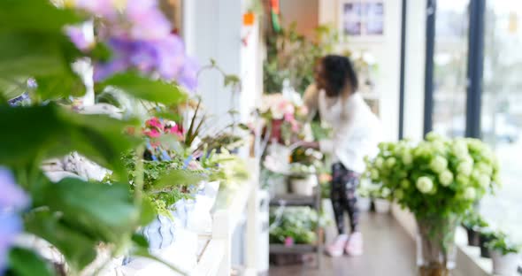 Florist with pot flower walking in flower shop 4k alt