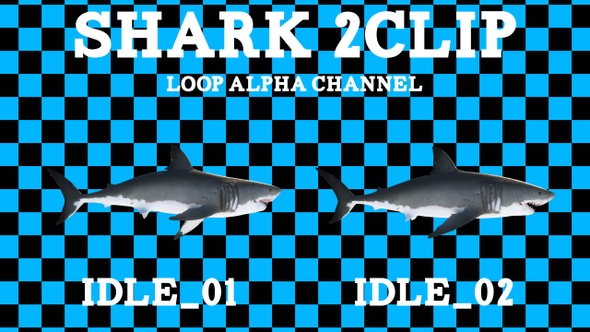 Shark 2Clip Loop Alpha