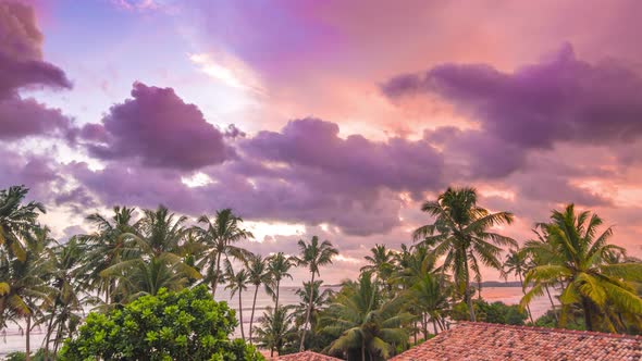 Colorful Cloudy Sunset With Palms