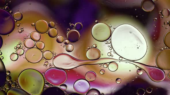 Abstract Colorful Food Oil Drops Bubbles 099 alt