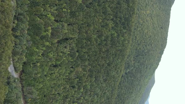 Vertical Video Carpathian Mountains alt