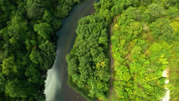 Aerial view of the trees, forests and river in the Derbyshire Peak District National Park near Bakew alt