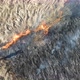 Aerial View of Firemen Extinguishing Grassland Field Burning with Red Fire During Dry Season - VideoHive Item for Sale