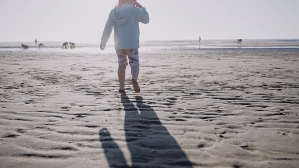 Little Girl Walking on an Ocean Beach on a Sunny Day