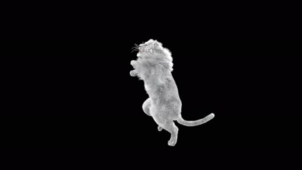 White Lion Dancing 4K alt