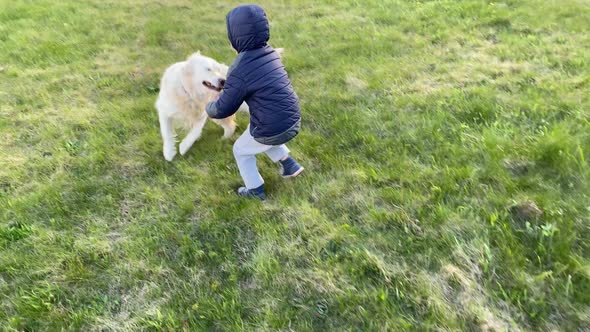 Beauty of Slow Motion. a Little Boy Plays with a Dog in Nature, Takes a Stick From Her