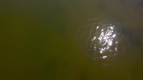 Pull back aerial flight over shallow water to reveal an old boat sunken in the river alt