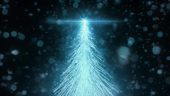 Animated Christmas Fir Tree Star background seamless loop in HD resolution.