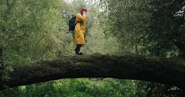 Hiker with Phone in a Yellow Raincoat with a Backpack Walking on a Fallen Tree alt