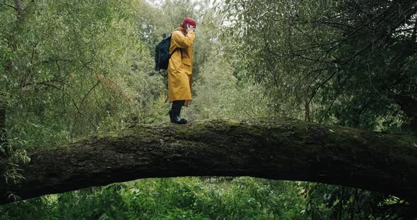 Hiker with Phone in a Yellow Raincoat with a Backpack Walking on a Fallen Tree