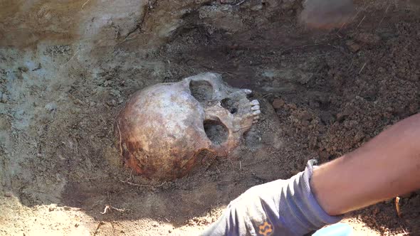 Mass Grave or Archaeological Excavations 5