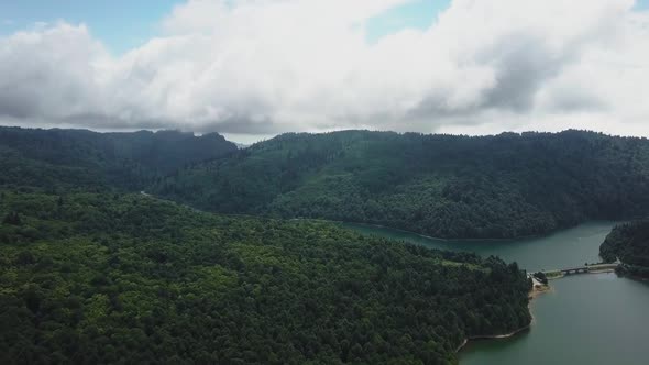 Cinematic Forest With Lake