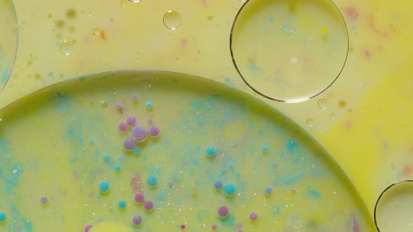 Bright Neon Colorful Bubbles Oil and Ink Acrylic Paint Moving Closeup Wallpaper Background alt