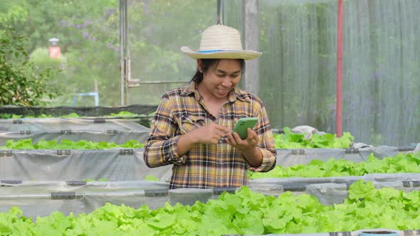 Asian woman gardener owner taking online orders near young lettuces nursery. alt
