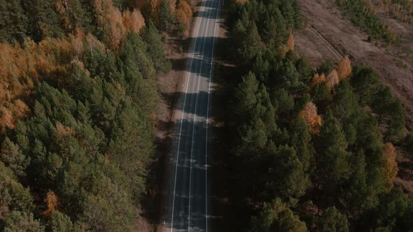 Road and moving cars between colorful autumn forest in Ural