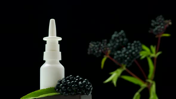 Healing Oil From Mountain Herbs, Herbal Tincture From Black Elderberry, Homeopathic