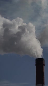 Smoke Comes From the Chimney alt