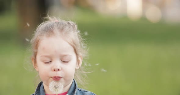 Charming Little Girl Blowing Dandelion