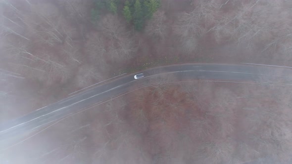 White Car Driving Slowly Through Misty Forest Road, Drone View alt