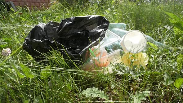 The Concept of Pollution of the Planet alt