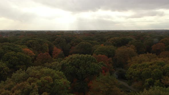 An aerial shot taken directly over colorful tree tops during the fall season. The drone camera dolly alt