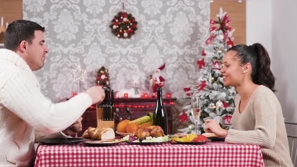 Gorgeous Caucasian Couple Enjoying a Christmas Dinner in Their Living Room alt