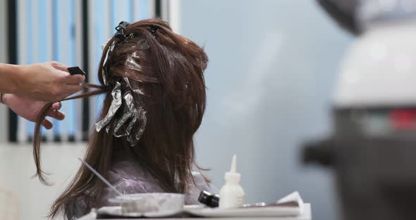 Hair dresser is dyeing hair of beautiful woman in barber shop alt