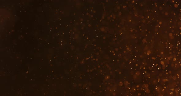 Red Bubbles And Particles In Water Against Black Background alt
