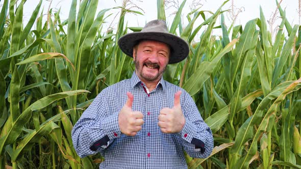 A Senior Agronomist Stands in a Field in the Middle of His Harvest and Looking at Camera alt