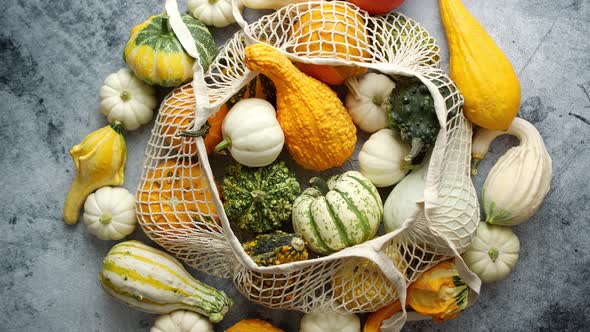 Colorful Pumpkins in Mesh Shopping Bag on Stone Background