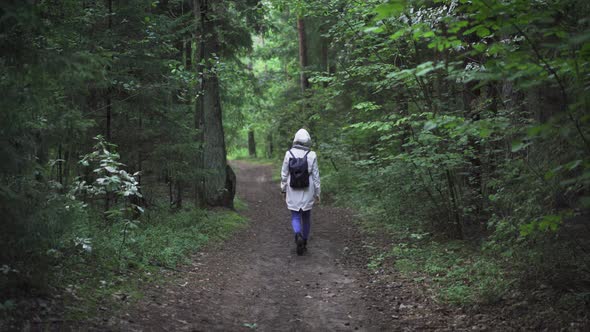 Unknown Person Walking On Forest Path