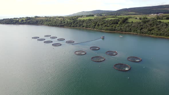 A Fish Farm in Scotland Providing Mariculture for Food Markets alt