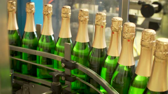 Champagne Bottles on Factory Conveyor Belt