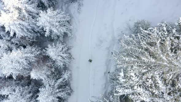 Top view of adult woman walking in winter forest