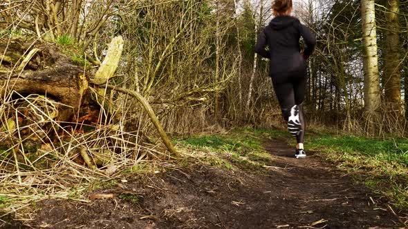 Jogging in the Forest alt