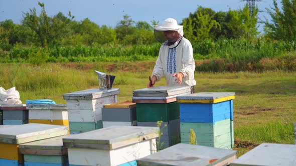 Beekeeper is working with bees and beehives on the apiary. Beekeeper on apiary. alt