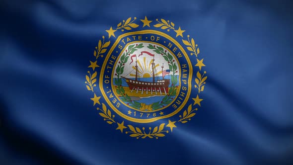 New Hampshire State Flag Blowing In Wind alt