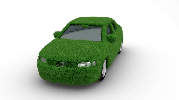 Car Grass Loop alt