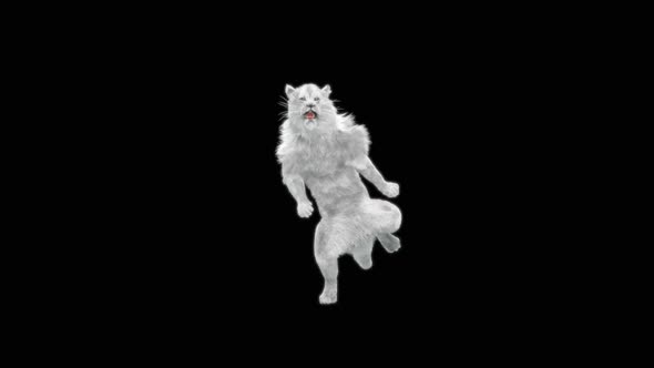 White Lion Dancing HD alt
