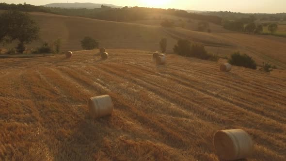 Sunset at Tuscany Fieldswith Hay Bales Embellishments alt