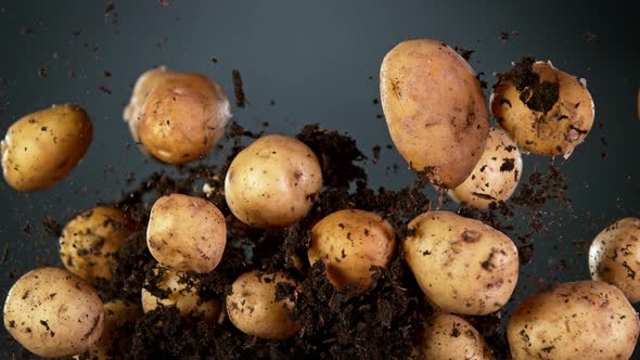 Super Slow Motion Shot of Flying Potatoes with Soil at 1000 Fps alt