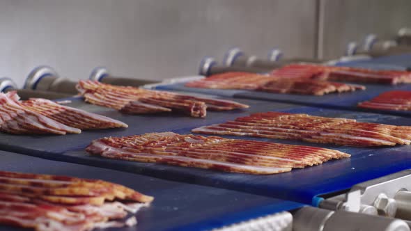 Delicious Appetizing Fresh Freshly Cut Bacon on Conveyor Belt